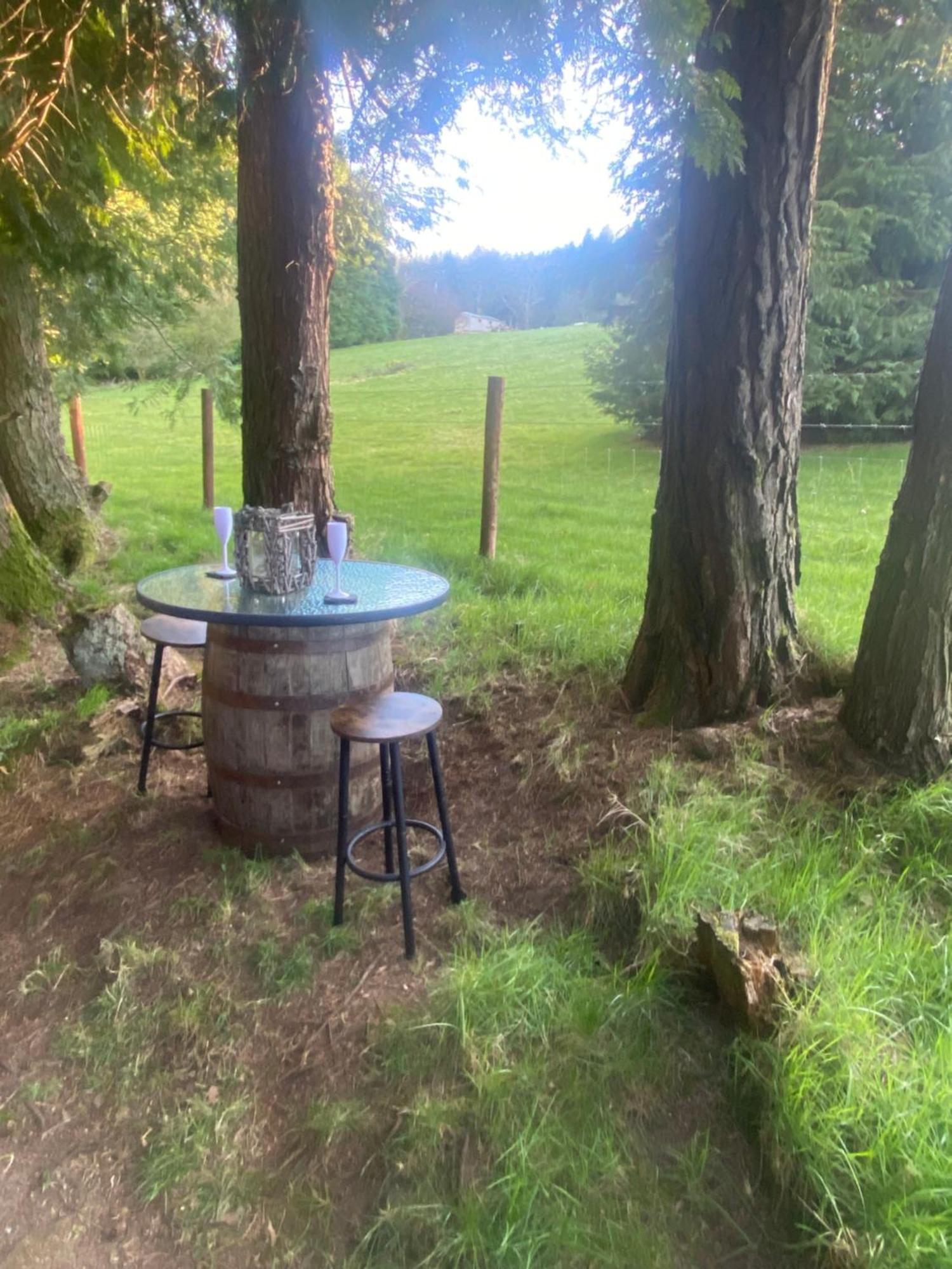 Willow Lodge Dublín
